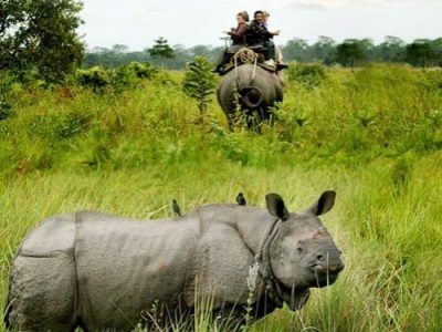 87417adorable-dooars-tour-thumb